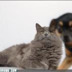 5c8af3282300005300e76d6d