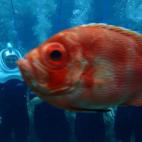 5c8af329230000dd0423f584