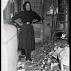 5c8af32a20000045046ffff5