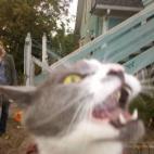 5c8af32a2300002f00e76d71