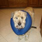 5c8af32b240000f404a3f14a