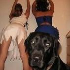 5c8af32b360000a61b6c5218