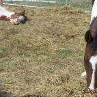 5c8af32c360000ba1a6c521a