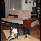 5c8af32c22000033001a219b