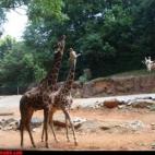 5c8af32d2400004205a3f14c