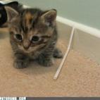 5c8af32d3b000072066cd349