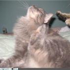 5c8af32d2500000d04c9e5fc