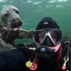 5c8af32f22000033001a21a5