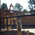 5c8af331240000f7054cb546