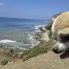 5c8af331230000040123f592