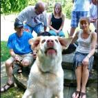 5c8af331250000e203c9e606