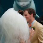 5c8af3322300002f00e76d79