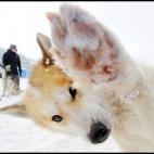 5c8af3332500000d04c9e60c