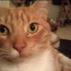 Cortesía de Hali Jakeman