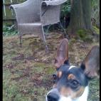 Cortesía de Kimberly Rai Cook