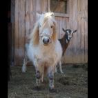 5c8af33a240000f404a3f16c