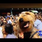 5c8af33f2300007f0123f5a4