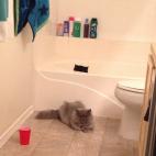 Cortesía de Jenny Haniver