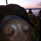 Cortesía de Ren Meier