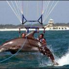 5c8af343360000e01c6c5236