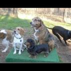 Cortesía de Brynn Fesler