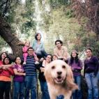 5c8af3453b000072066cd365