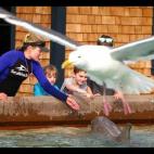 5c8af3473b000002076cd369