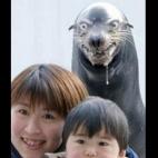 5c8af3483b000002076cd36d