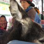 5c8af3493b000002076cd36f