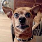 5c8af34a360000e01c6c5242