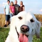 5c8af34b230000040123f5c1