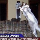 5c8af34b22000031001a21d0