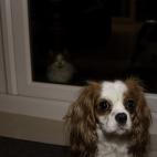 5c8af34c2400000a05a3f18e