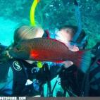 5c8af34e24000093024cb576