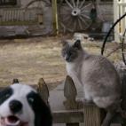 5c8af34e2300007f0123f5d3