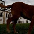 5c8af34f2000009e0470003b