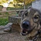 5c8af34f2300003000e76d99