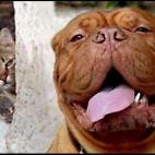 5c8af34f2400004205a3f196