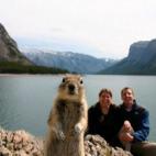 5c8af3502300005400e76d9d