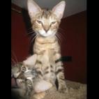 5c8af350360000c81a6c524e