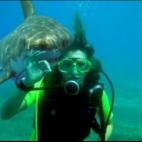 5c8af350360000e01c6c5251