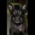 5c8af35122000031001a21da