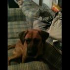 5c8af35224000093024cb580