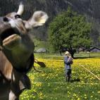 5c8af3522400006c05a3f19a