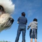 5c8af3532400000a05a3f19c