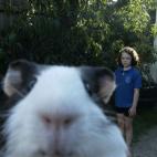 5c8af3532000004304700049