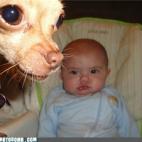 5c8af3542400006b054cb588