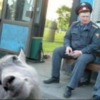 5c8af3553b000070066cd385