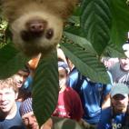 5c8af3552500000d04c9e64e