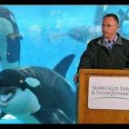 5c8af356200000450470004f